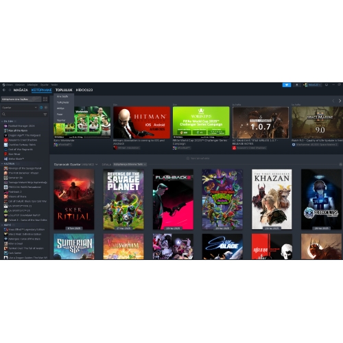  Steam hesabı 1400 büyük oyunlu - 22.000 dolar değerinde